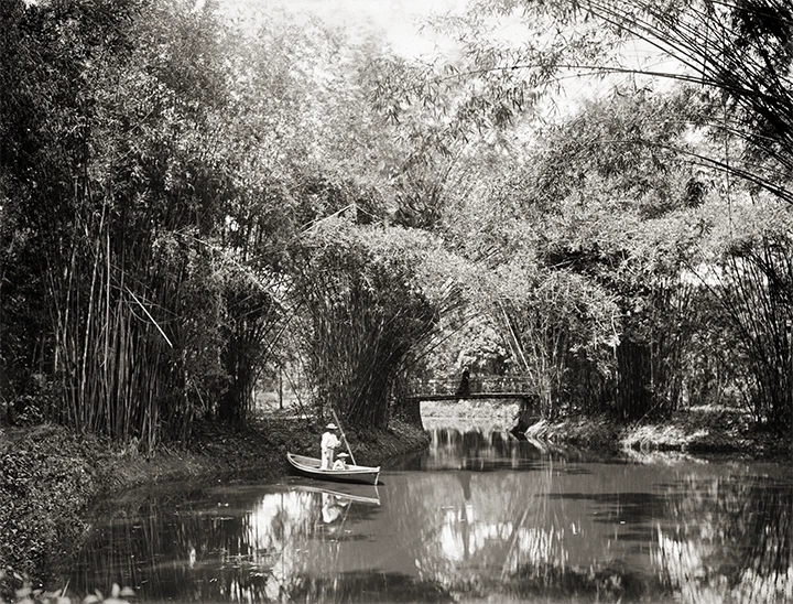 Sous Les Bambous - Parc de Mariano Procópio - Alfredo Ferreira Lage - Juiz de Fora (Minas Gerais) - c. de 1904