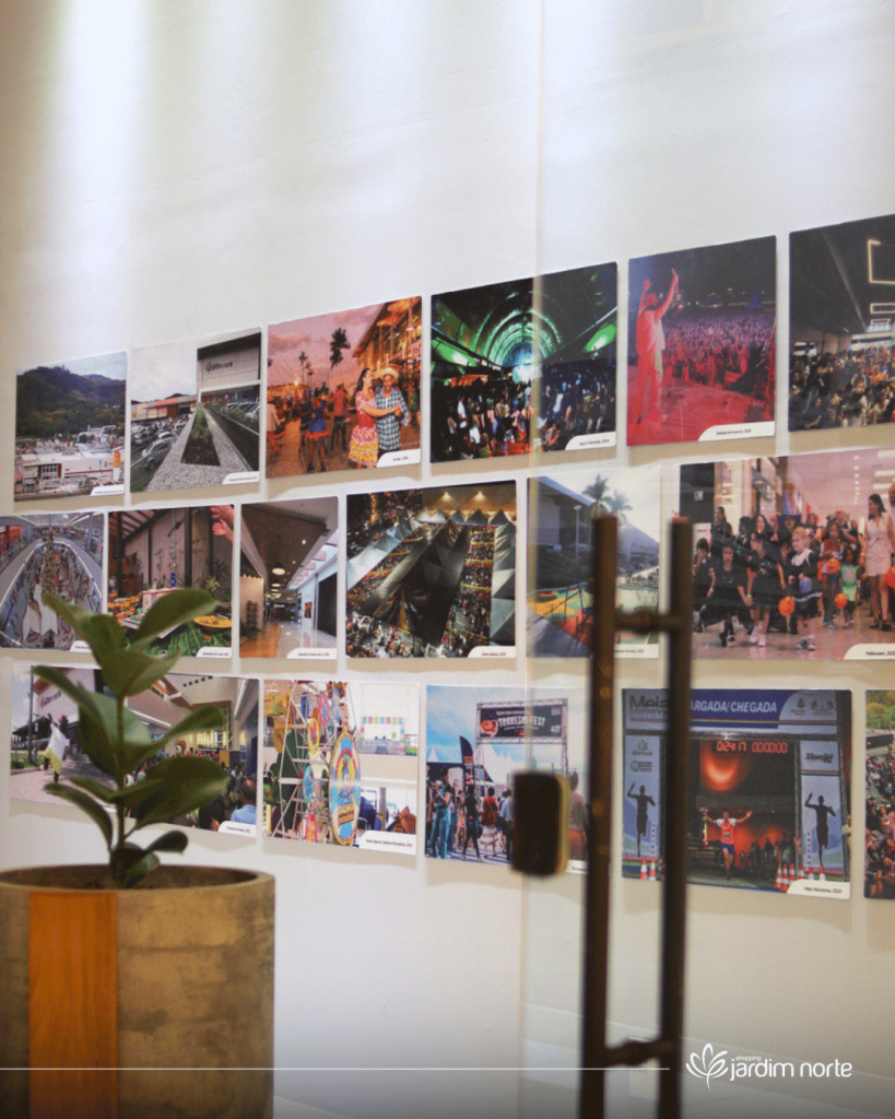 exposição 10 anos