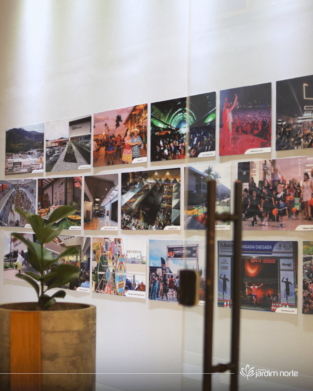 exposição 10 anos
